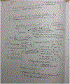 FIGURE 7 |
