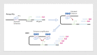 Fig 7: