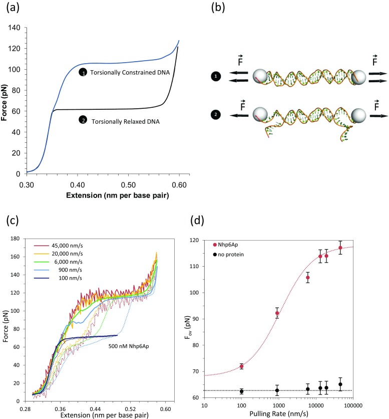 Fig. 14