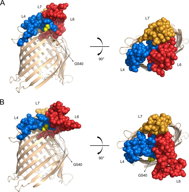 FIG 2 