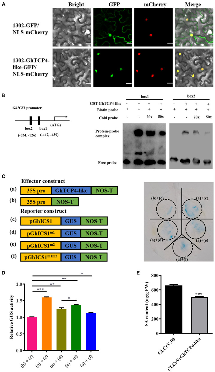 Figure 5