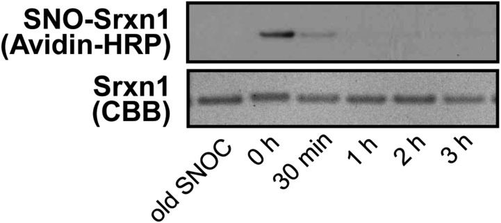 Fig. S4.