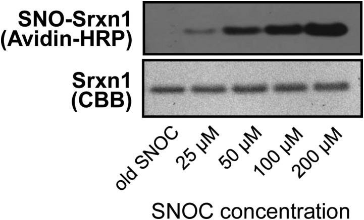 Fig. S3.