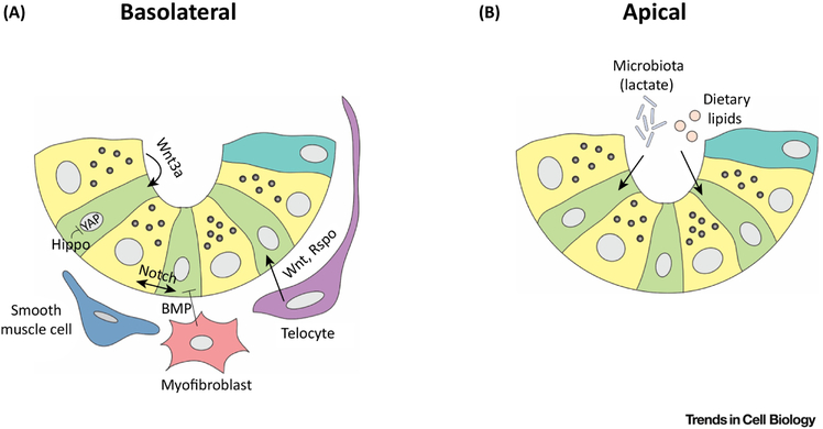 Figure 3: