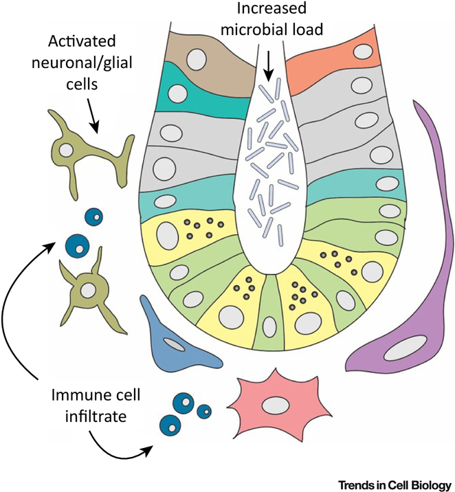 Figure 4: