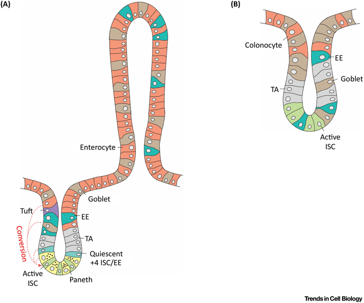 Figure 1: