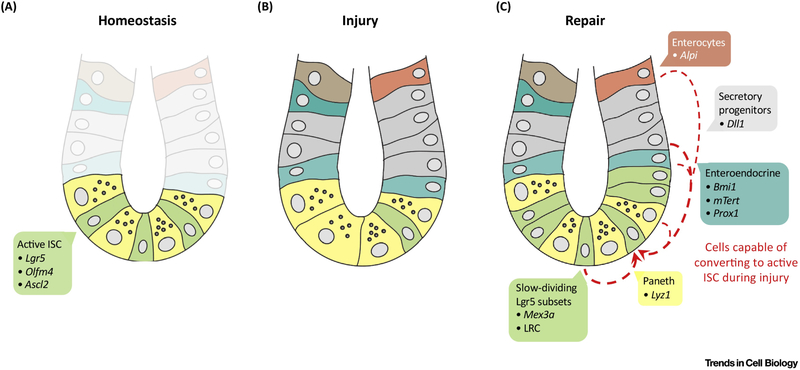 Figure 2: