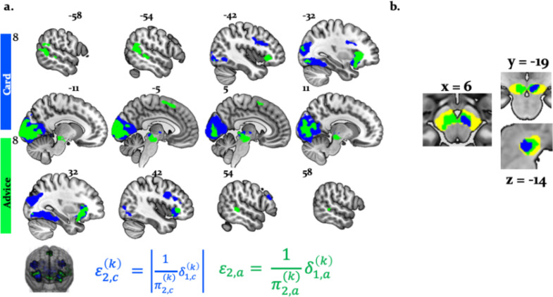 Figure 6—figure supplement 1.