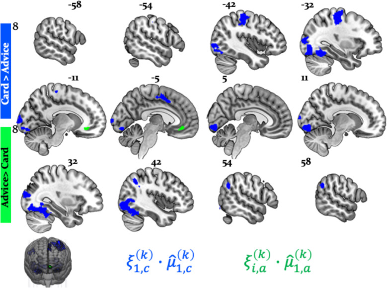 Figure 7—figure supplement 1.