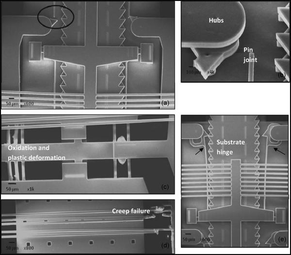 Fig. 13