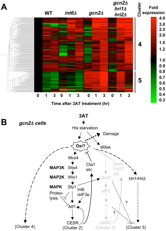 Fig. 8