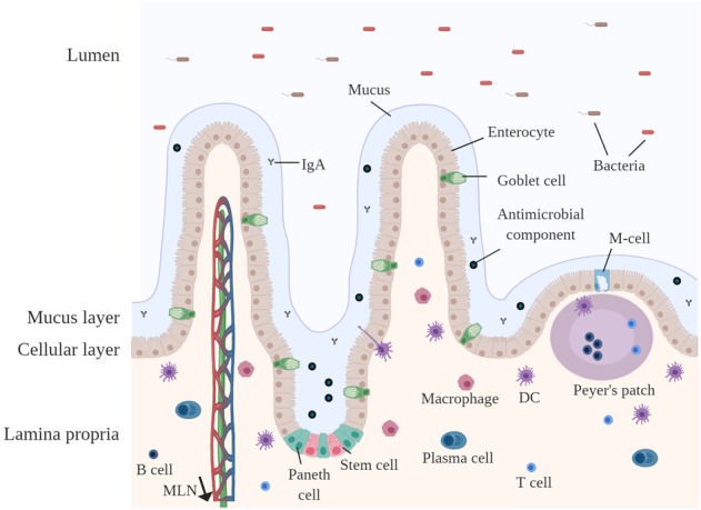 Fig. 3