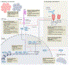 Fig. 2 |