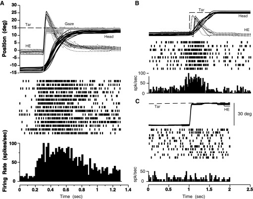 FIG. 11.