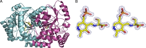 FIGURE 5.