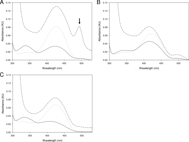 FIGURE 4.