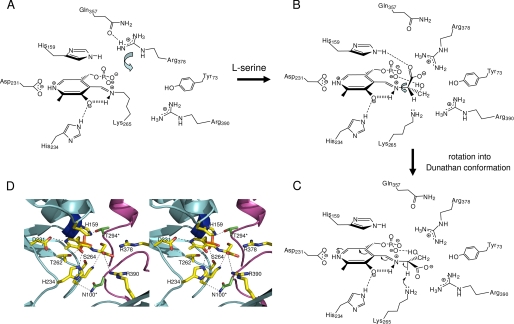 FIGURE 7.