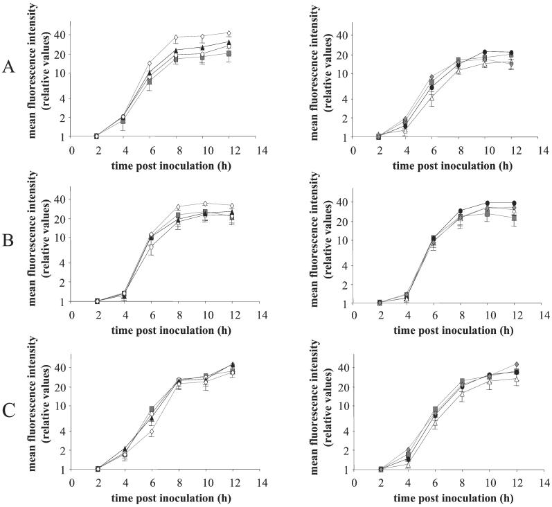 FIG. 2.