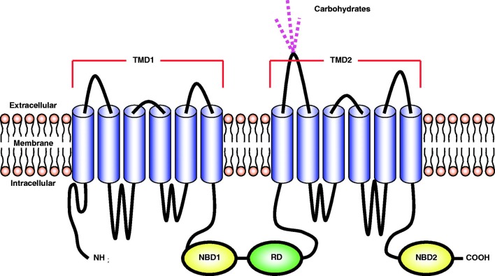 Figure 1.