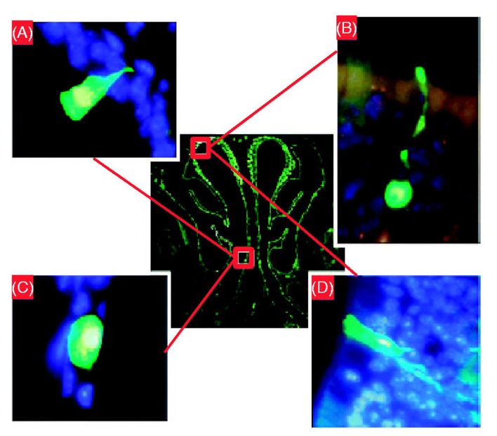 Figure 4.