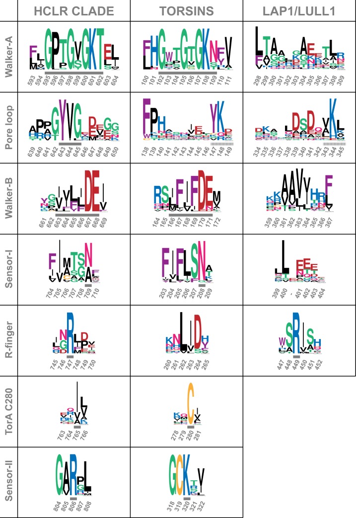 Figure 1—figure supplement 5.