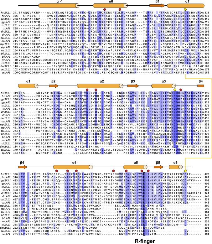 Figure 1—figure supplement 3.