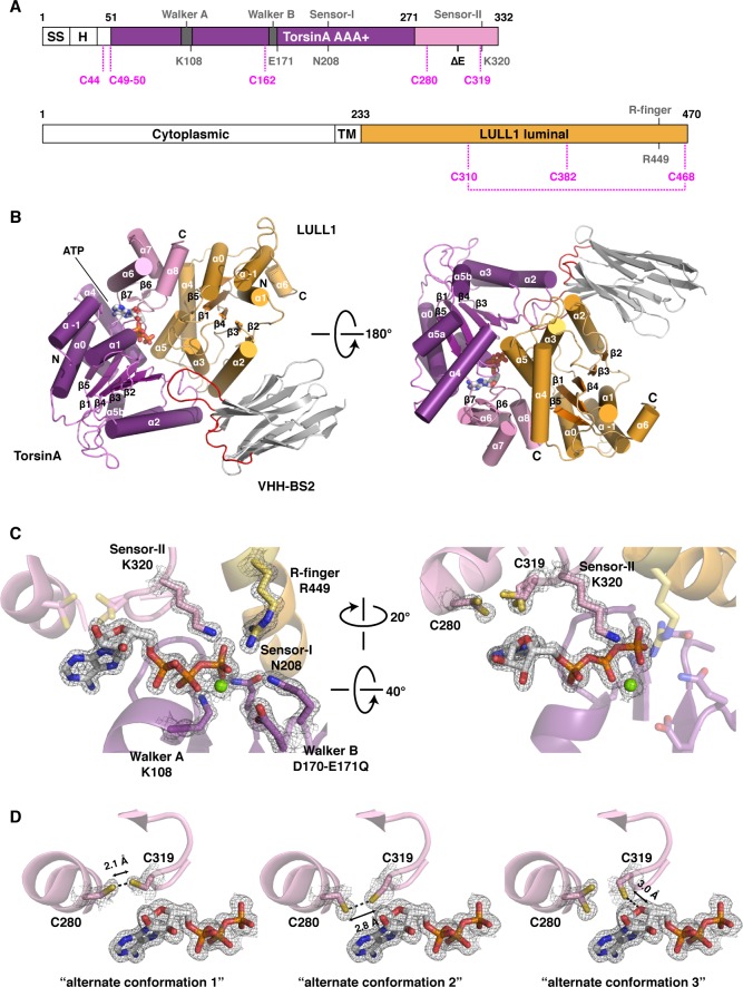 Figure 1.