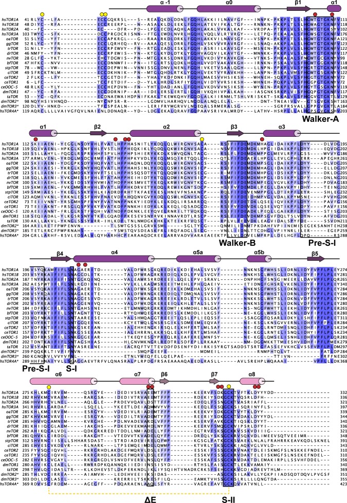 Figure 1—figure supplement 2.