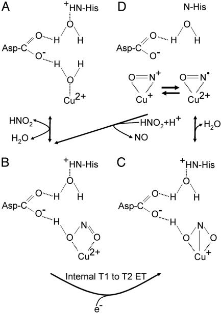 Scheme 1.