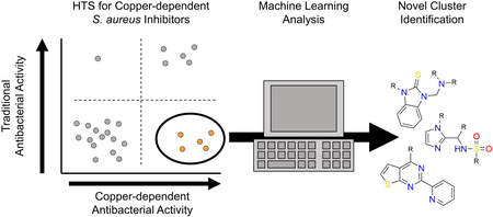 graphic file with name nihms-1016518-f0001.jpg