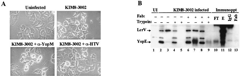 FIG. 8