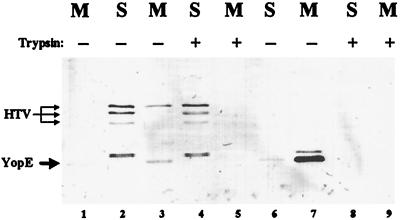 FIG. 5