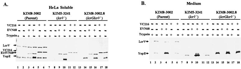 FIG. 6