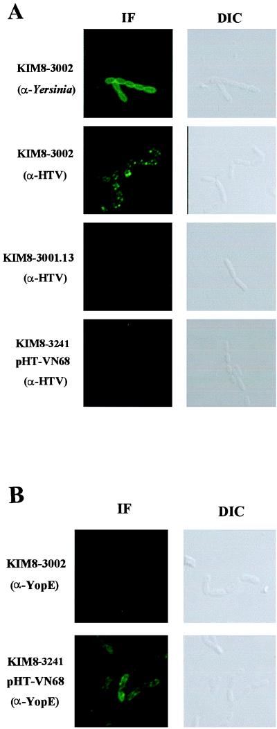 FIG. 7