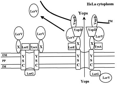 FIG. 10