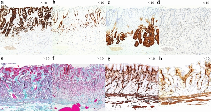 Fig. 3