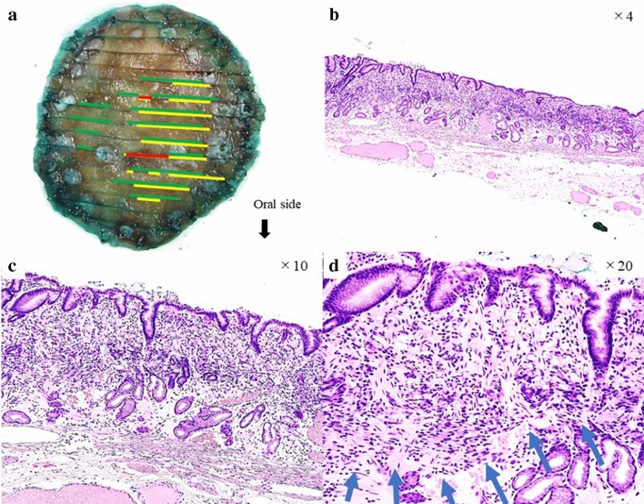 Fig. 2