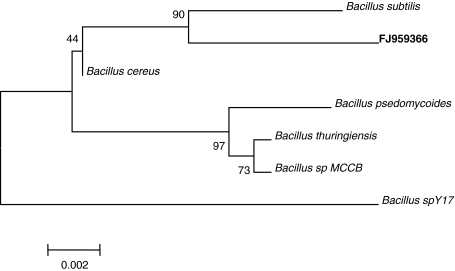 Fig. 1