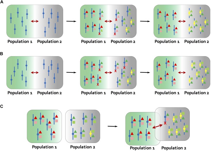 FIGURE 2