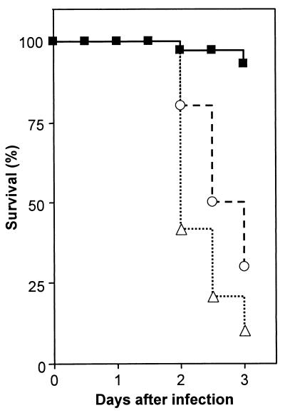 FIG. 5