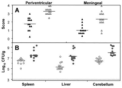 FIG. 7