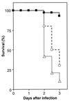 FIG. 5