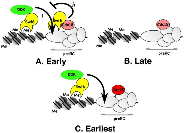 Fig 7