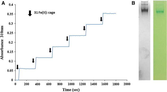 Fig. 2