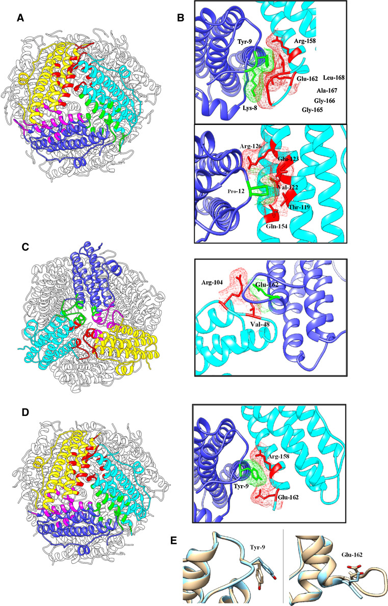 Fig. 5