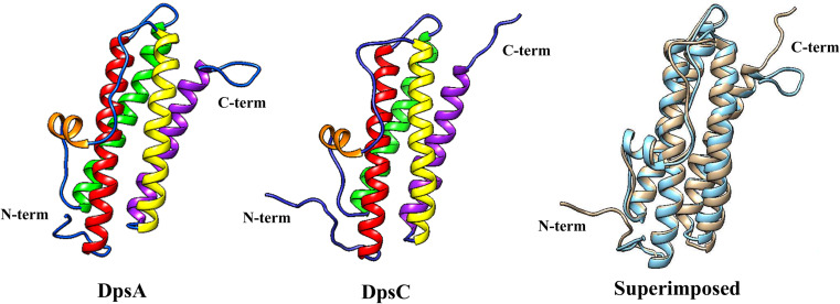 Fig. 4