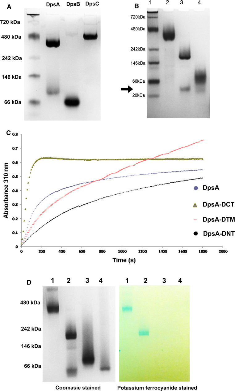 Fig. 1