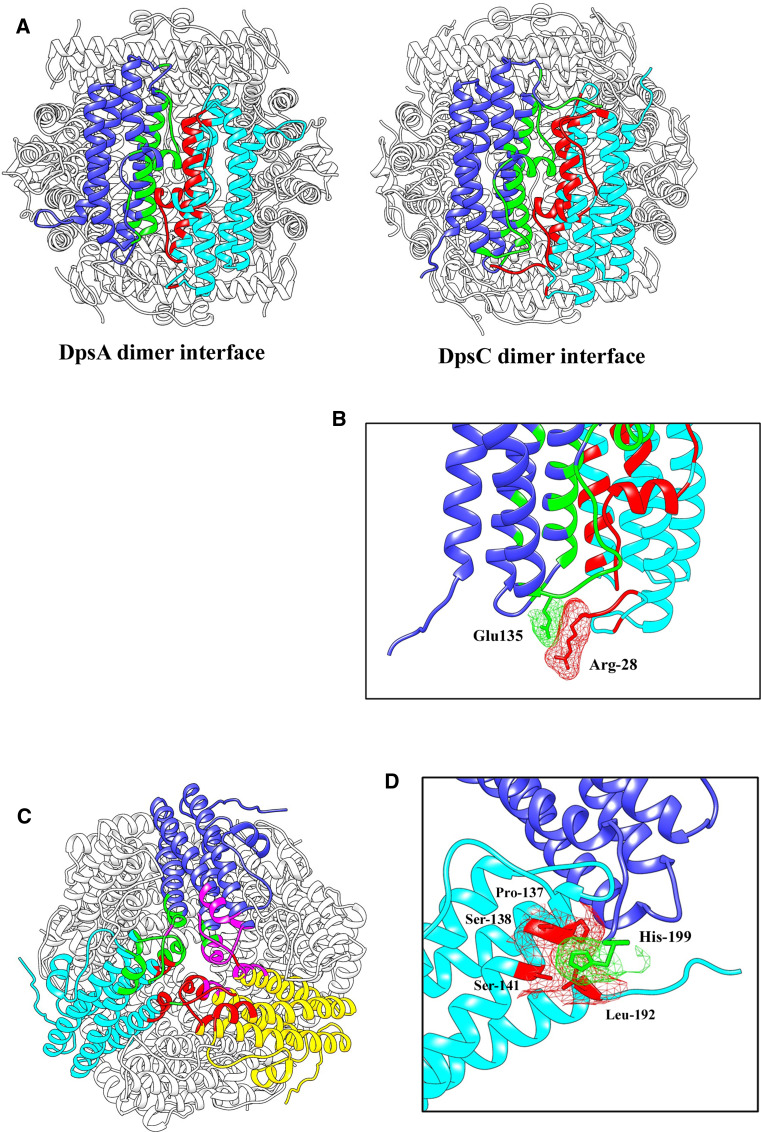 Fig. 6