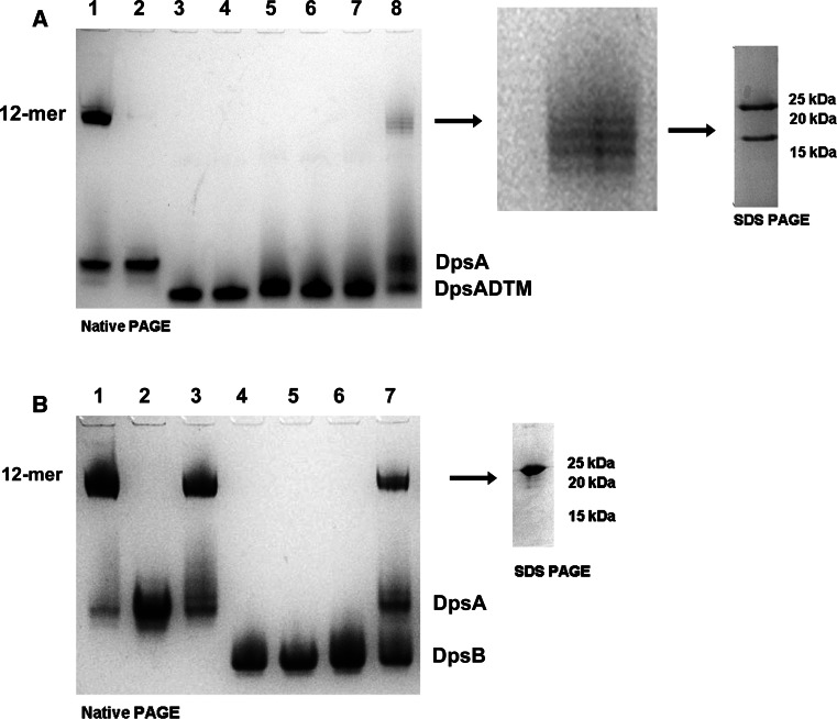 Fig. 7