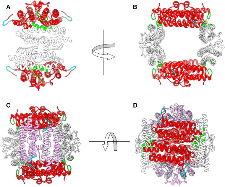 Fig. 8